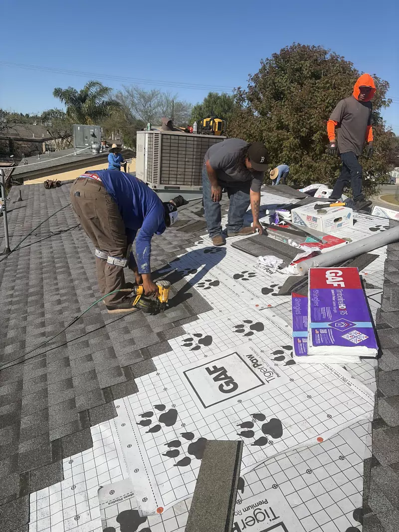 Roof On Brand — photo 3