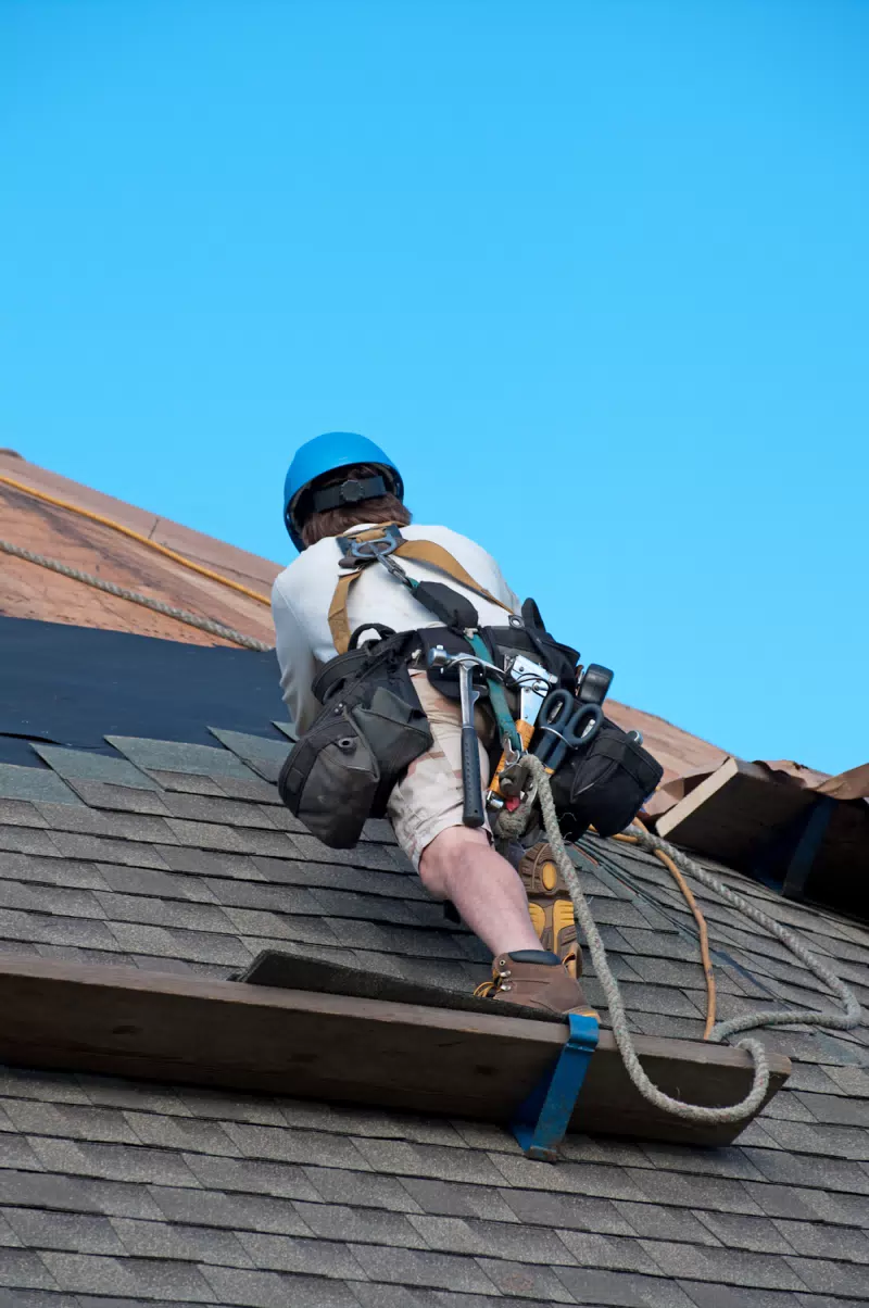 Roof On Brand — photo 10