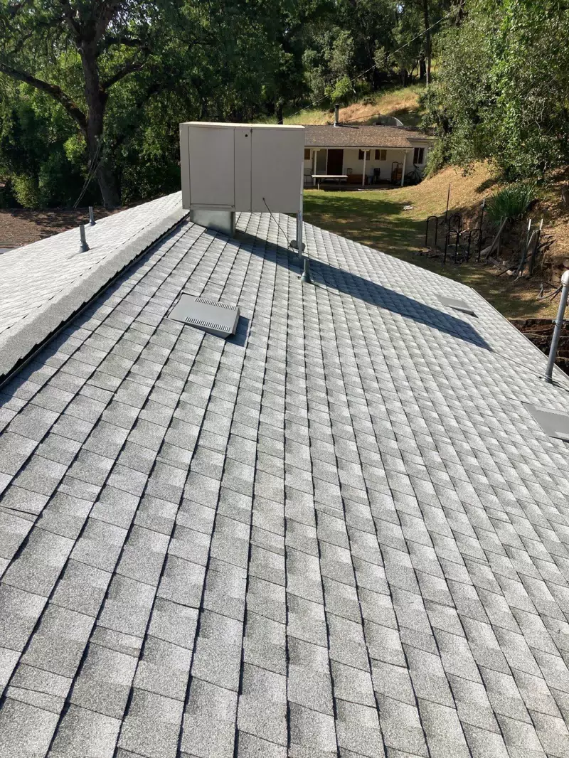 True Roof Inc. — photo 4