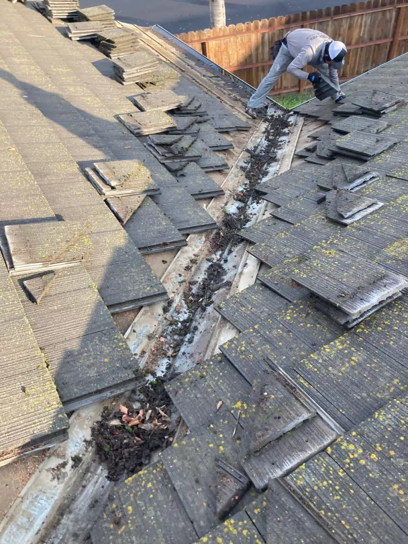 True Roof Inc. — photo 6