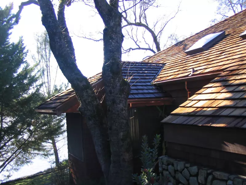 Martin Moran Roofing — photo 8