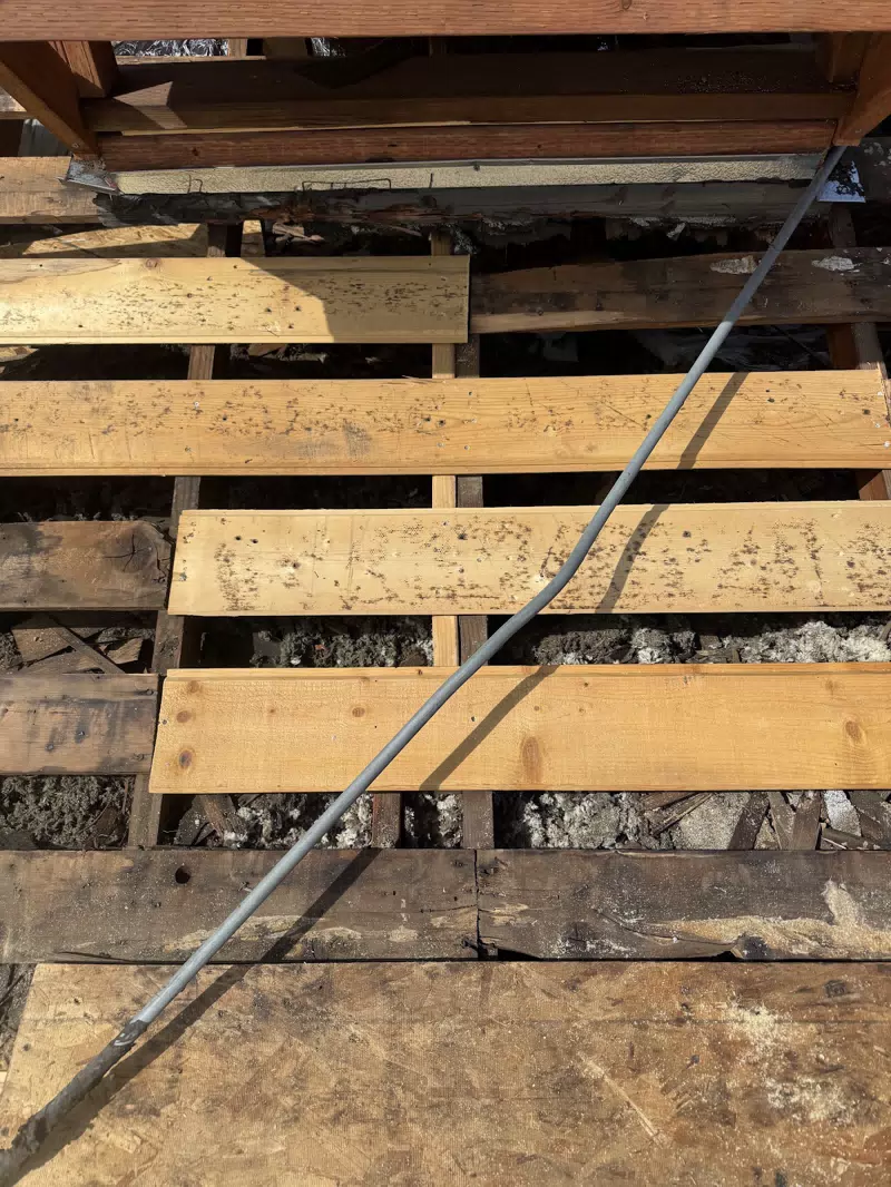 Thompson Roofing Riverside — photo 7