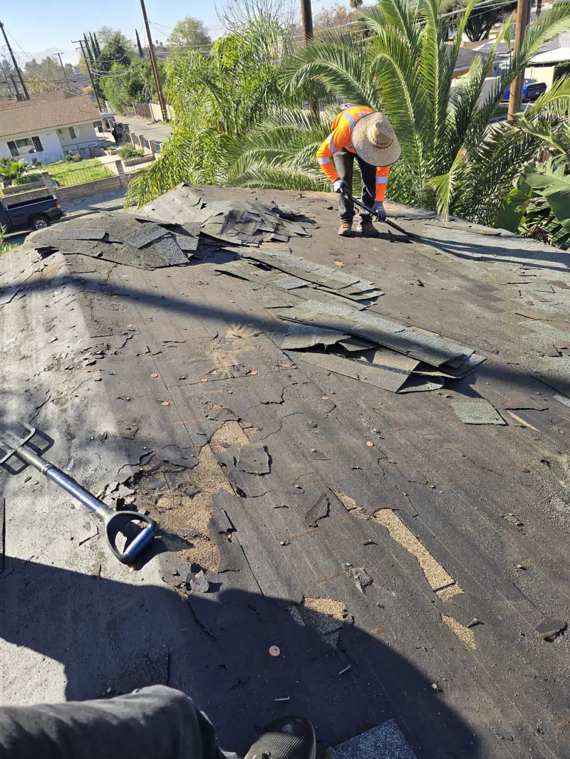 SUN & ROOFERS INC. — photo 9