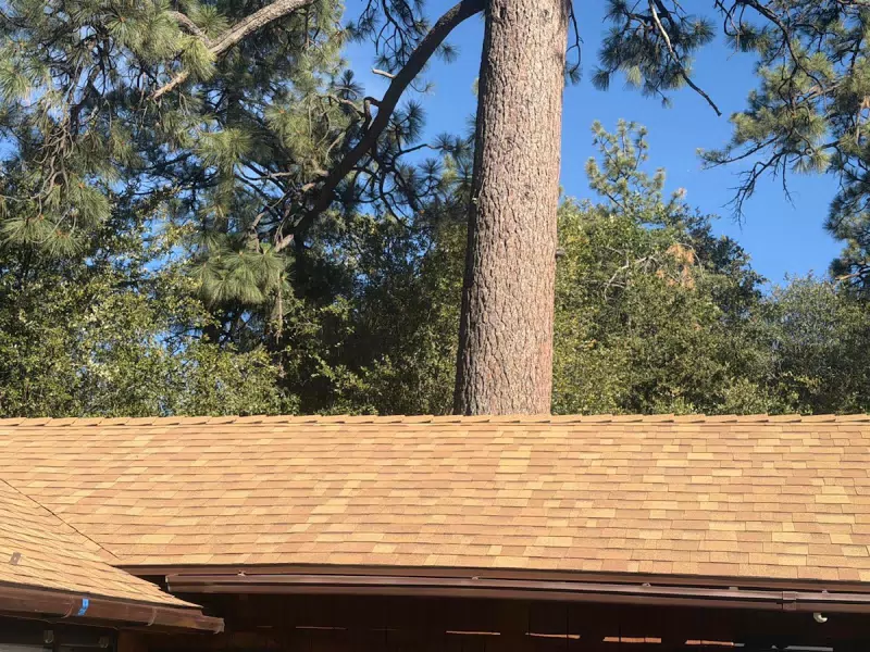 Veni's Roofing — photo 5