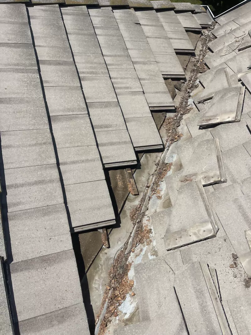 Platinum Roofing Inc — photo 3