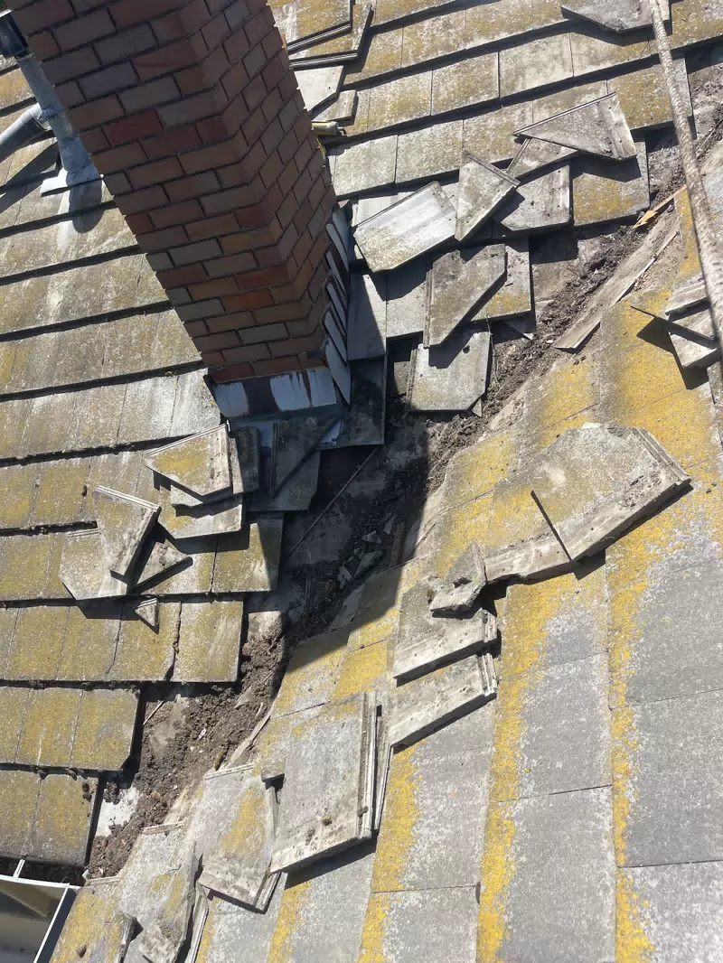 Platinum Roofing Inc — photo 9